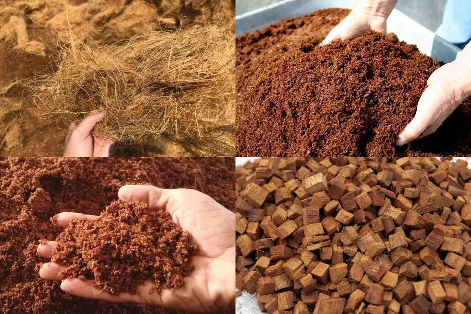 Coir Peat - Natural Growing Medium